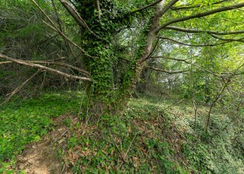 Independent house Via Bellini, Brondello - photo 23