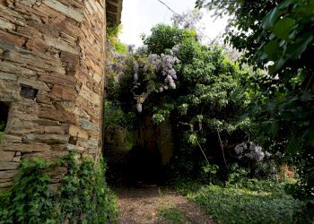 Independent house Via Bellini, Brondello - photo 16