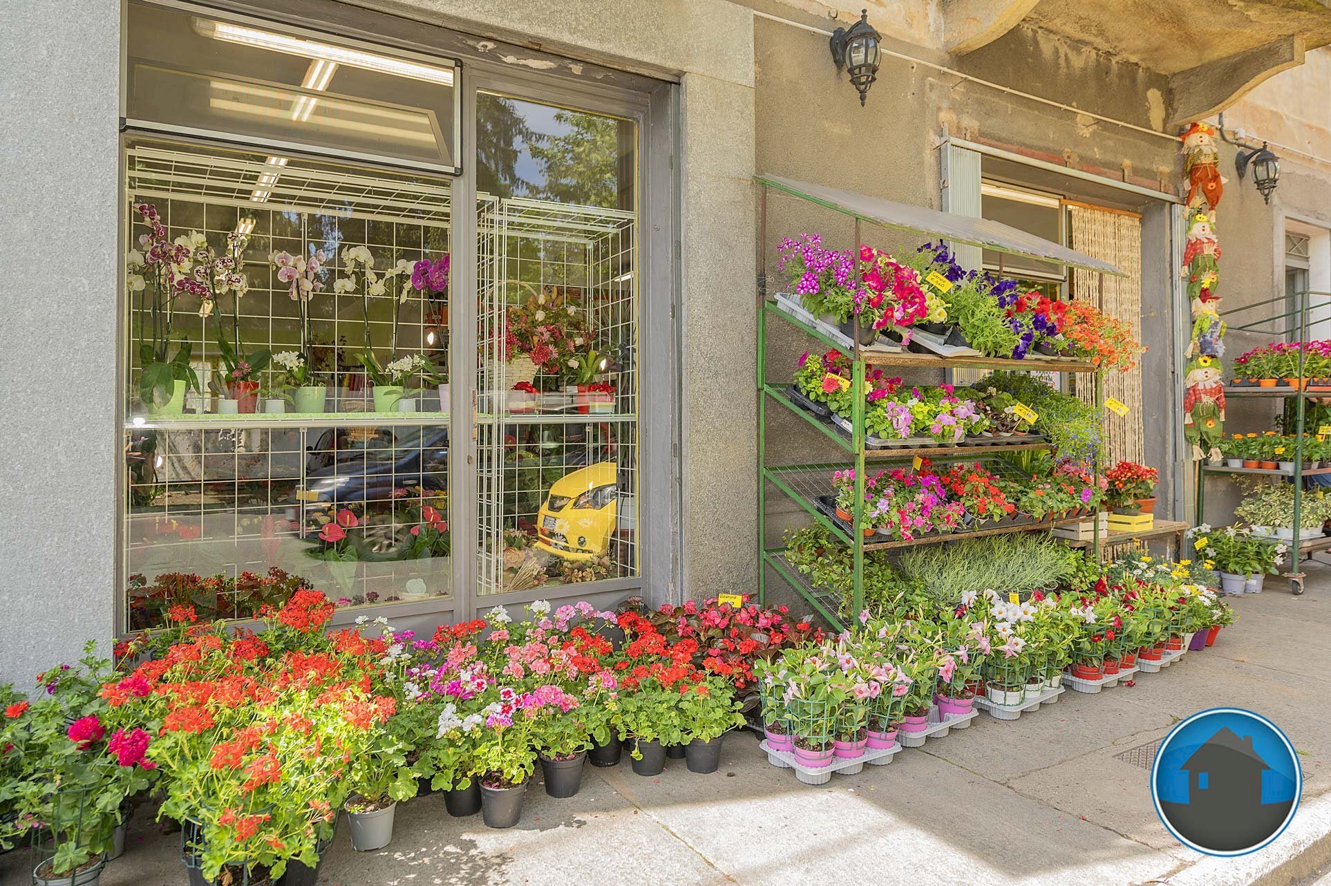 Attività commerciale Hobby Garden alimenti animali atrezzatura agricola Torre Pellice - Piante e Fiori piazza San Martino, 8, Torre Pellice - foto 1