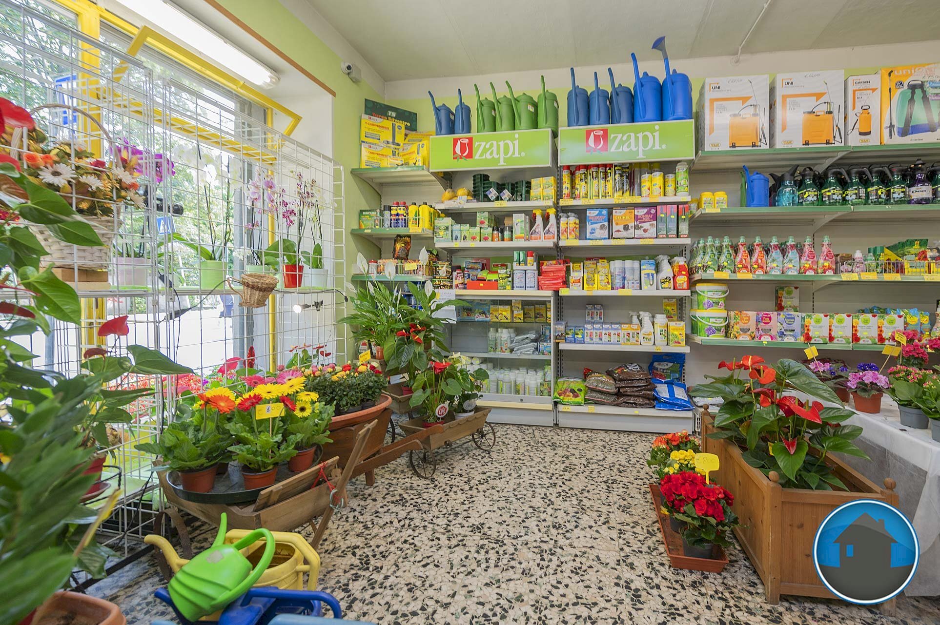 Attività commerciale Hobby Garden alimenti animali atrezzatura agricola Torre Pellice - Piante e Fiori piazza San Martino, 8, Torre Pellice - foto 2