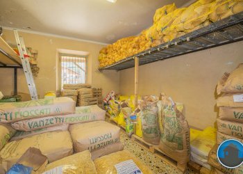 Attività commerciale Hobby Garden alimenti animali atrezzatura agricola Torre Pellice - Piante e Fiori piazza San Martino, 8, Torre Pellice - foto 17