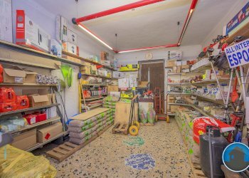 Attività commerciale Hobby Garden alimenti animali atrezzatura agricola Torre Pellice - Piante e Fiori piazza San Martino, 8, Torre Pellice - foto 9