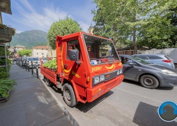 Attività commerciale Hobby Garden alimenti animali atrezzatura agricola Torre Pellice - Piante e Fiori piazza San Martino, 8, Torre Pellice - foto 19