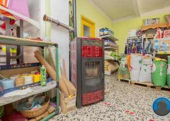 Attività commerciale Hobby Garden alimenti animali atrezzatura agricola Torre Pellice - Piante e Fiori piazza San Martino, 8, Torre Pellice - foto 11