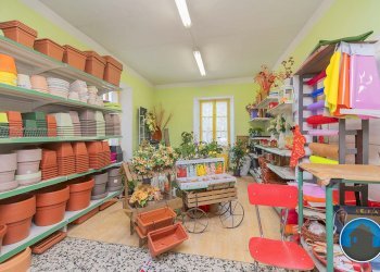 Attività commerciale Hobby Garden alimenti animali atrezzatura agricola Torre Pellice - Piante e Fiori piazza San Martino, 8, Torre Pellice - foto 3