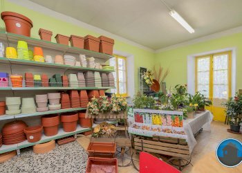 Attività commerciale Hobby Garden alimenti animali atrezzatura agricola Torre Pellice - Piante e Fiori piazza San Martino, 8, Torre Pellice - foto 7