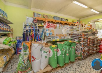 Attività commerciale Hobby Garden alimenti animali atrezzatura agricola Torre Pellice - Piante e Fiori piazza San Martino, 8, Torre Pellice - foto 16