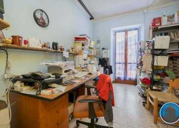 Attività commerciale Hobby Garden alimenti animali atrezzatura agricola Torre Pellice - Piante e Fiori piazza San Martino, 8, Torre Pellice - foto 13