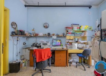 Attività commerciale Hobby Garden alimenti animali atrezzatura agricola Torre Pellice - Piante e Fiori piazza San Martino, 8, Torre Pellice - foto 12