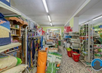 Attività commerciale Hobby Garden alimenti animali atrezzatura agricola Torre Pellice - Piante e Fiori piazza San Martino, 8, Torre Pellice - foto 18