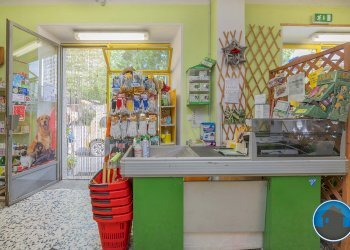 Attività commerciale Hobby Garden alimenti animali atrezzatura agricola Torre Pellice - Piante e Fiori piazza San Martino, 8, Torre Pellice - foto 15