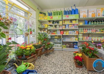 Attività commerciale Hobby Garden alimenti animali atrezzatura agricola Torre Pellice - Piante e Fiori piazza San Martino, 8, Torre Pellice - foto 2