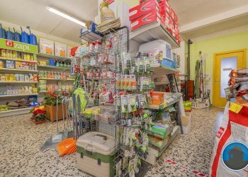 Attività commerciale Hobby Garden alimenti animali atrezzatura agricola Torre Pellice - Piante e Fiori piazza San Martino, 8, Torre Pellice - foto 4