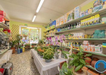 Attività commerciale Hobby Garden alimenti animali atrezzatura agricola Torre Pellice - Piante e Fiori piazza San Martino, 8, Torre Pellice - foto 6