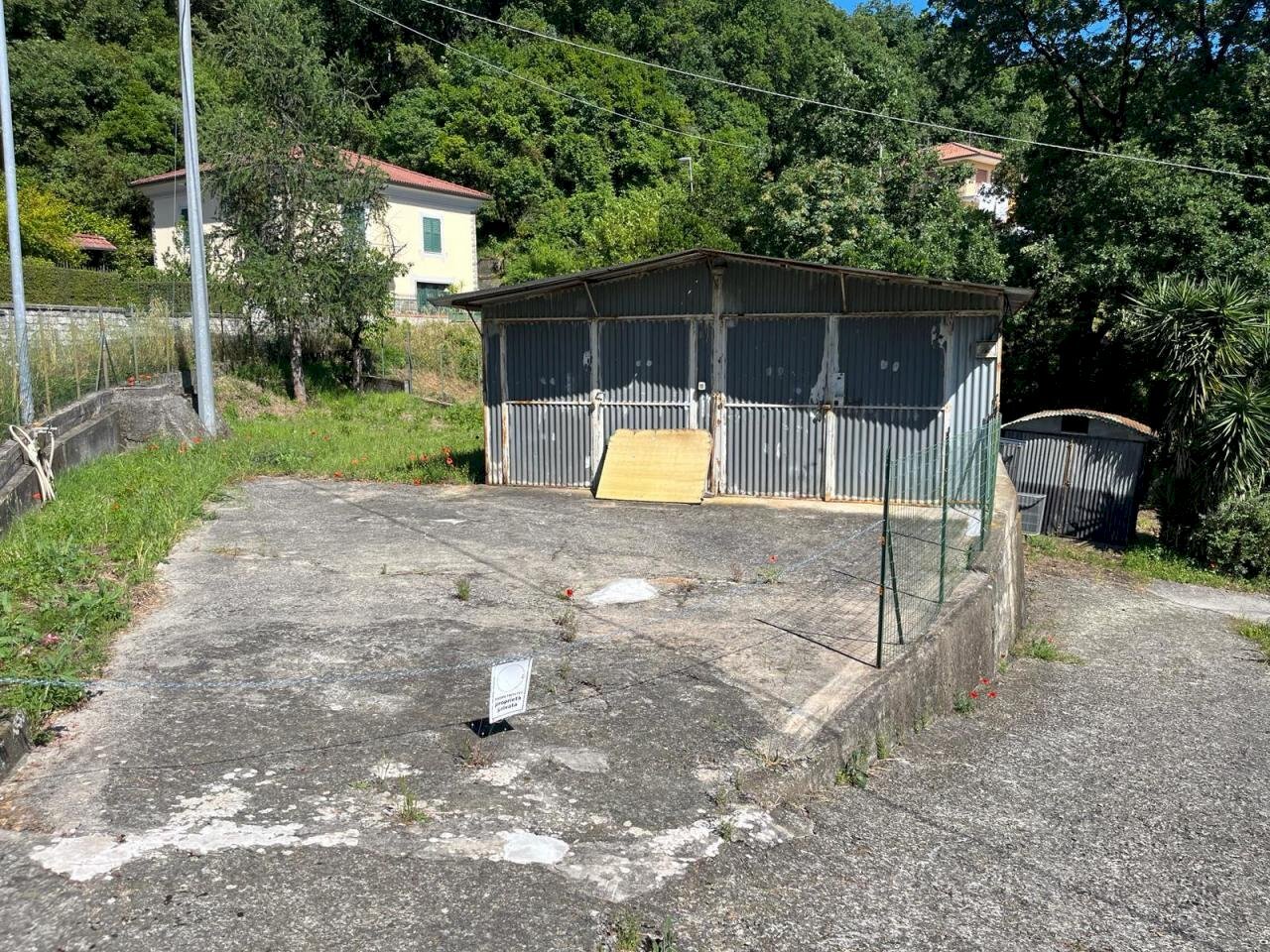 WhatsApp Image 2024-06-04 at 18.21.01.jpeg - Terreno edificabile SP523, Casarza Ligure - foto 2