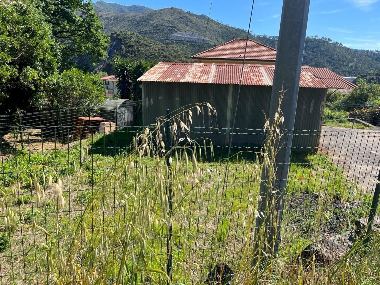 WhatsApp Image 2024-06-04 at 18.21.01 (4).jpeg - Terreno edificabile SP523, Casarza Ligure - foto 3