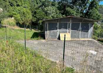 WhatsApp Image 2024-06-04 at 18.21.01 (2).jpeg - Terreno edificabile SP523, Casarza Ligure - foto 1