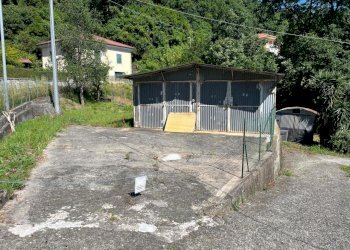 WhatsApp Image 2024-06-04 at 18.21.01.jpeg - Terreno edificabile SP523, Casarza Ligure - foto 2