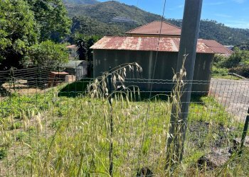 WhatsApp Image 2024-06-04 at 18.21.01 (4).jpeg - Terreno edificabile SP523, Casarza Ligure - foto 3