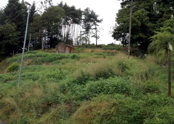 IMG_5253.JPG - Terreno edificabile Via San Nicolao, Castiglione Chiavarese - foto 5