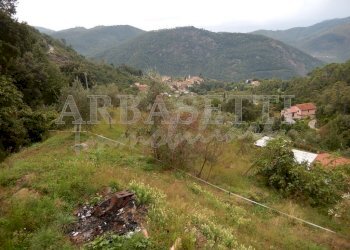 DSCN0586.JPG - Villa Via Arturo Rossi, Castiglione Chiavarese - foto 1