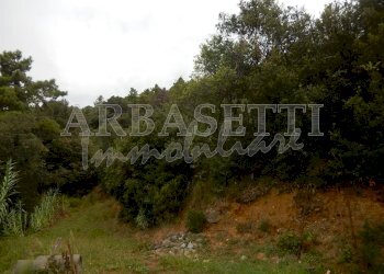 DSCN0600.JPG - Villa Via Arturo Rossi, Castiglione Chiavarese - foto 11