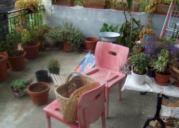 DSCF2742.JPG - Casale Località Campobenedetto, Varese Ligure - foto 5