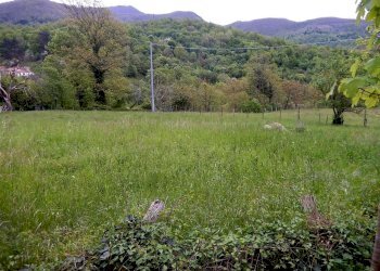 DSCN3648.JPG - Casale Località Campobenedetto, Varese Ligure - foto 7