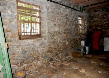 DSCN3668.JPG - Casale Località Campobenedetto, Varese Ligure - foto 19