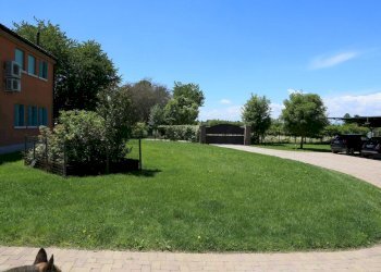 Rustico strada comunale di san vitale, Treviso - foto 27