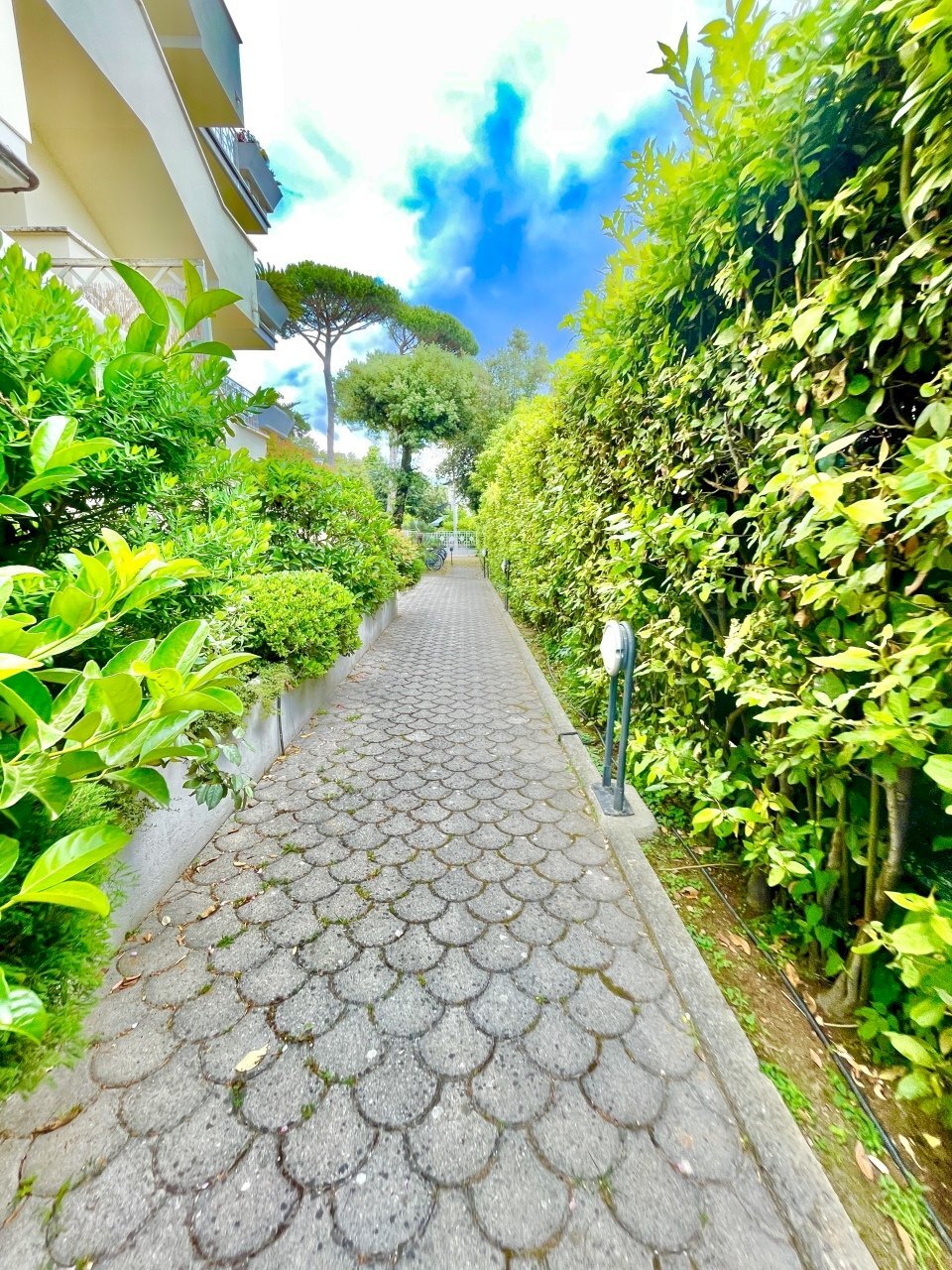 IMG_4794.JPG - Three-room apartment Pietrasanta - photo 1