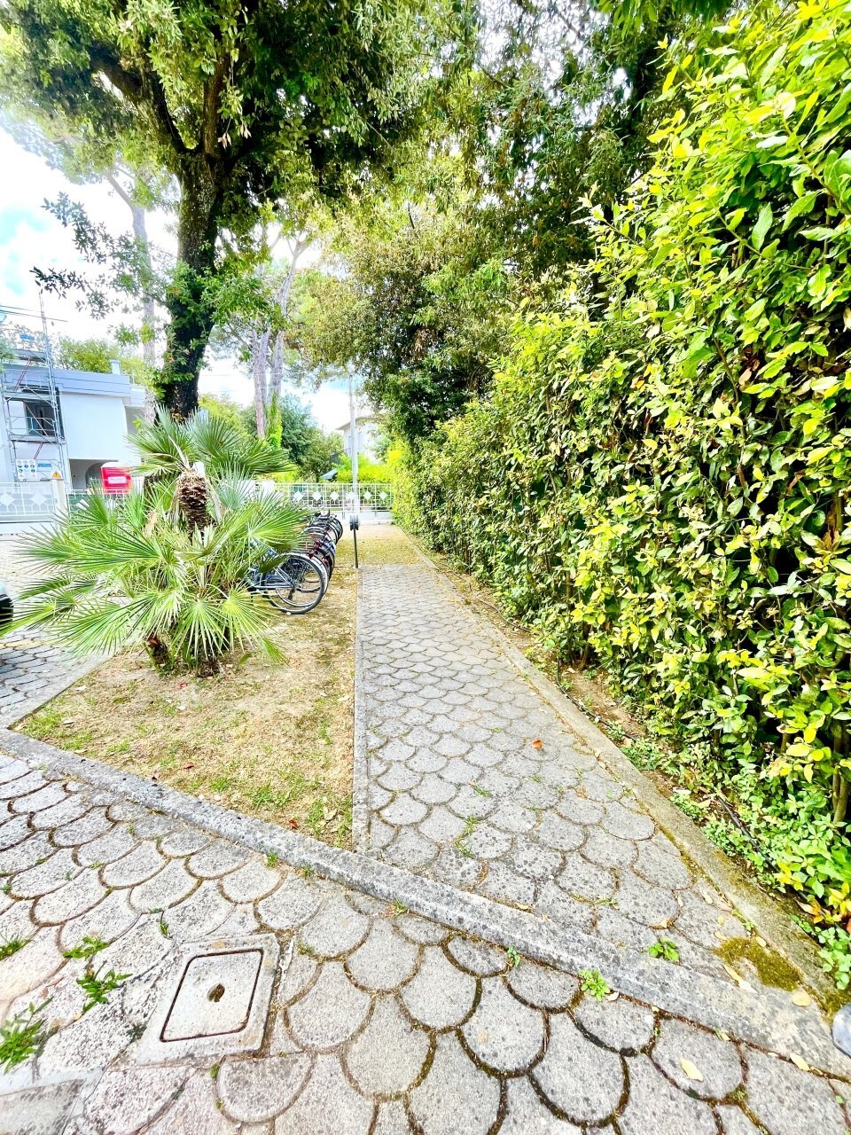 IMG_4795.JPG - Three-room apartment Pietrasanta - photo 2