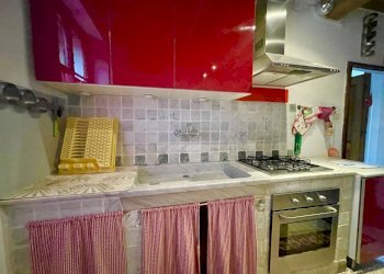 IMG_7791 2.jpg - Terratetto - Terracielo Stazzema - foto 12