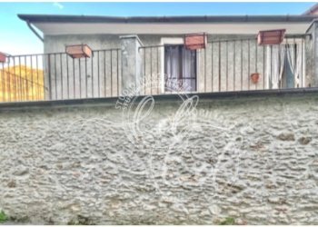 IMG_7799.jpg - Terratetto - Terracielo Stazzema - foto 4