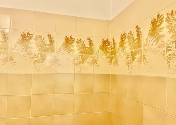 IMG_7337.jpg - Appartamento Montignoso - foto 11