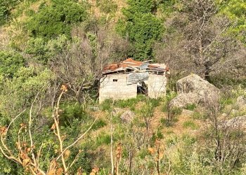 Terreno agricolo via Francesco Cangialosi, Carini - foto 6