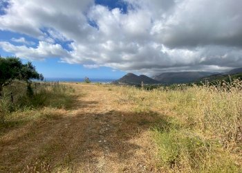 Terreno agricolo via Francesco Cangialosi, Carini - foto 8