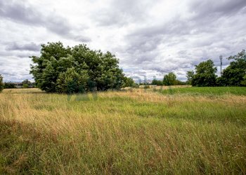 vista - Rustico via Zampeschi, Forlì - foto 13