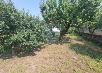 Casa indipendente Borgo Cittadella, Alessandria, Alessandria - foto 28