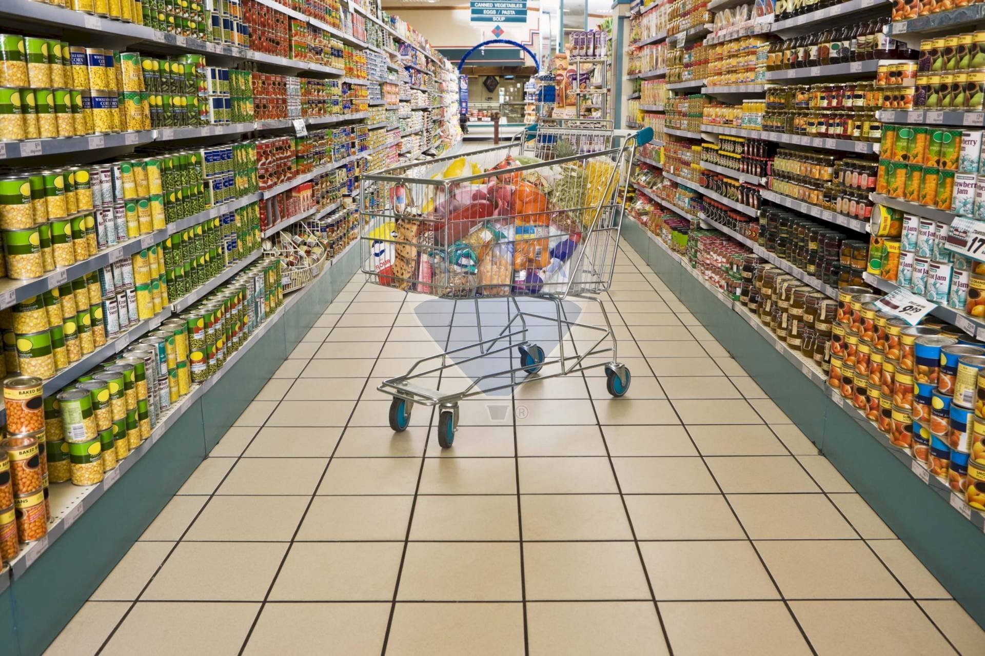 Commercial Activity via panza 
 San Salvatore Monferrato, AL, San Salvatore Monferrato - photo 1