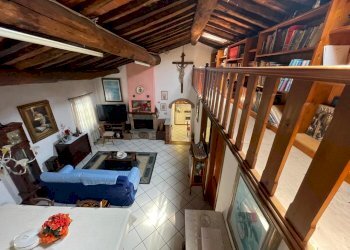 PHOTO-2024-05-10-12-38-18 2.jpg - Rustico Camaiore - foto 16