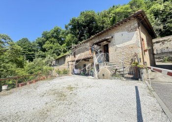 IMG_5470 2.JPG - Rustico Camaiore - foto 3