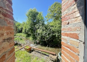 IMG_5508.JPG - Rustico Camaiore - foto 8