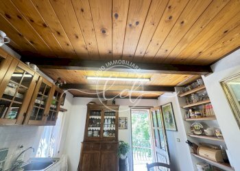 IMG_5484.JPG - Rustico Camaiore - foto 13