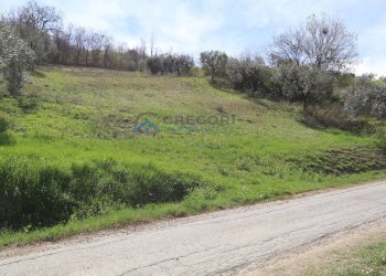 Terreno edificabile C.da Vallecupa, Colonnella - foto 2