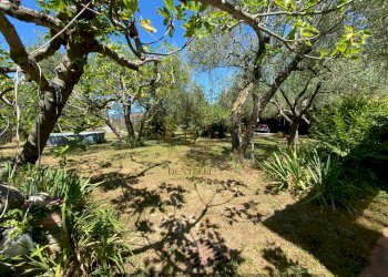 AMEGLIA VILLA INDIPENDENTE CON GIARDINO (8).jpg - Independent house Ameglia - photo 4