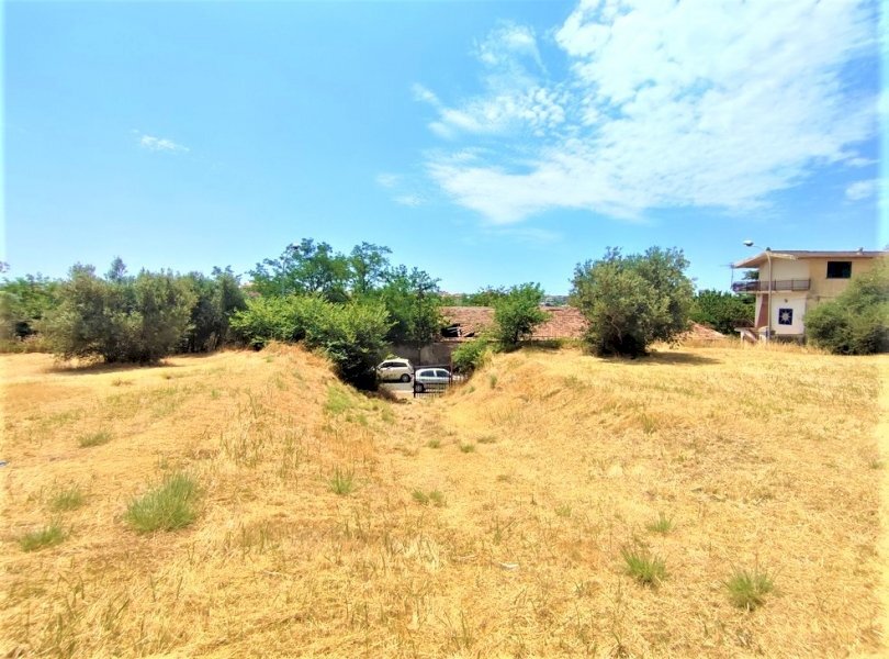 Terreno agricolo Mondragone - foto 3