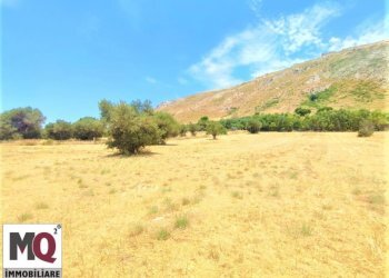 Agricultural land Mondragone - photo 1