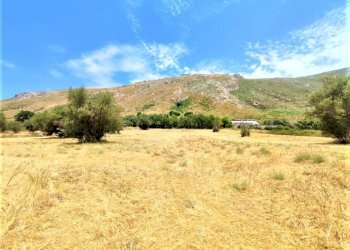 Agricultural land Mondragone - photo 2