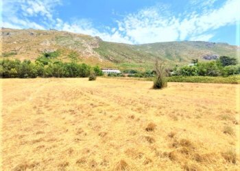 Agricultural land Mondragone - photo 4